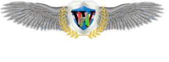 HW-ailes-5-V-5-bis-Tok